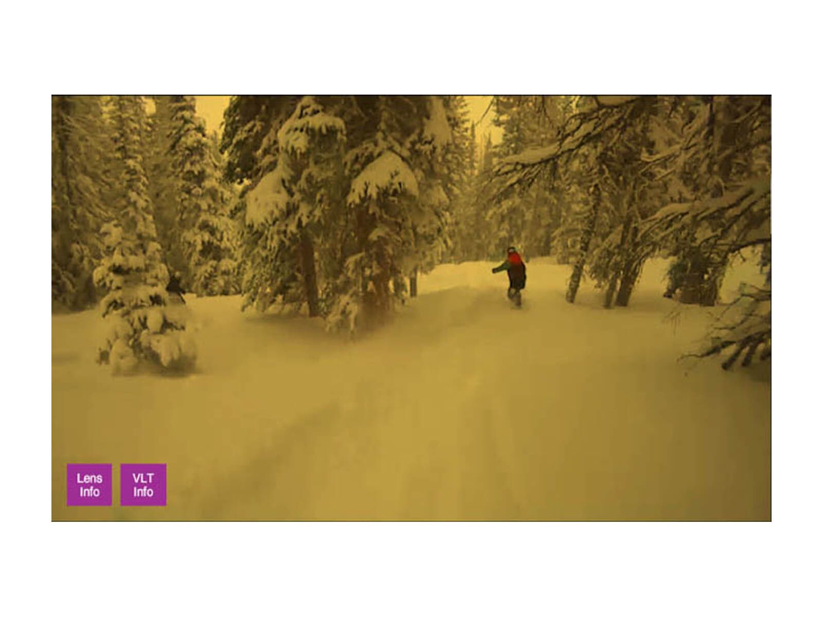 Anon Comrade Printed, Black/Blue Solex - Bild 4