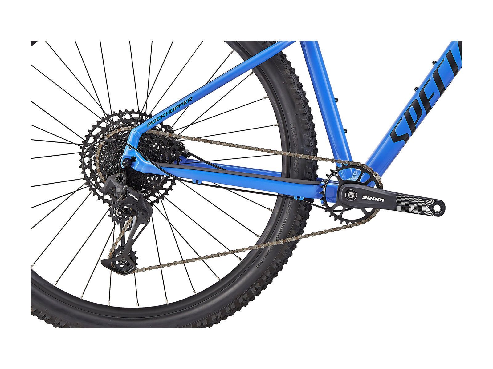 Specialized Rockhopper Expert 29, sky blue/black - Bild 5