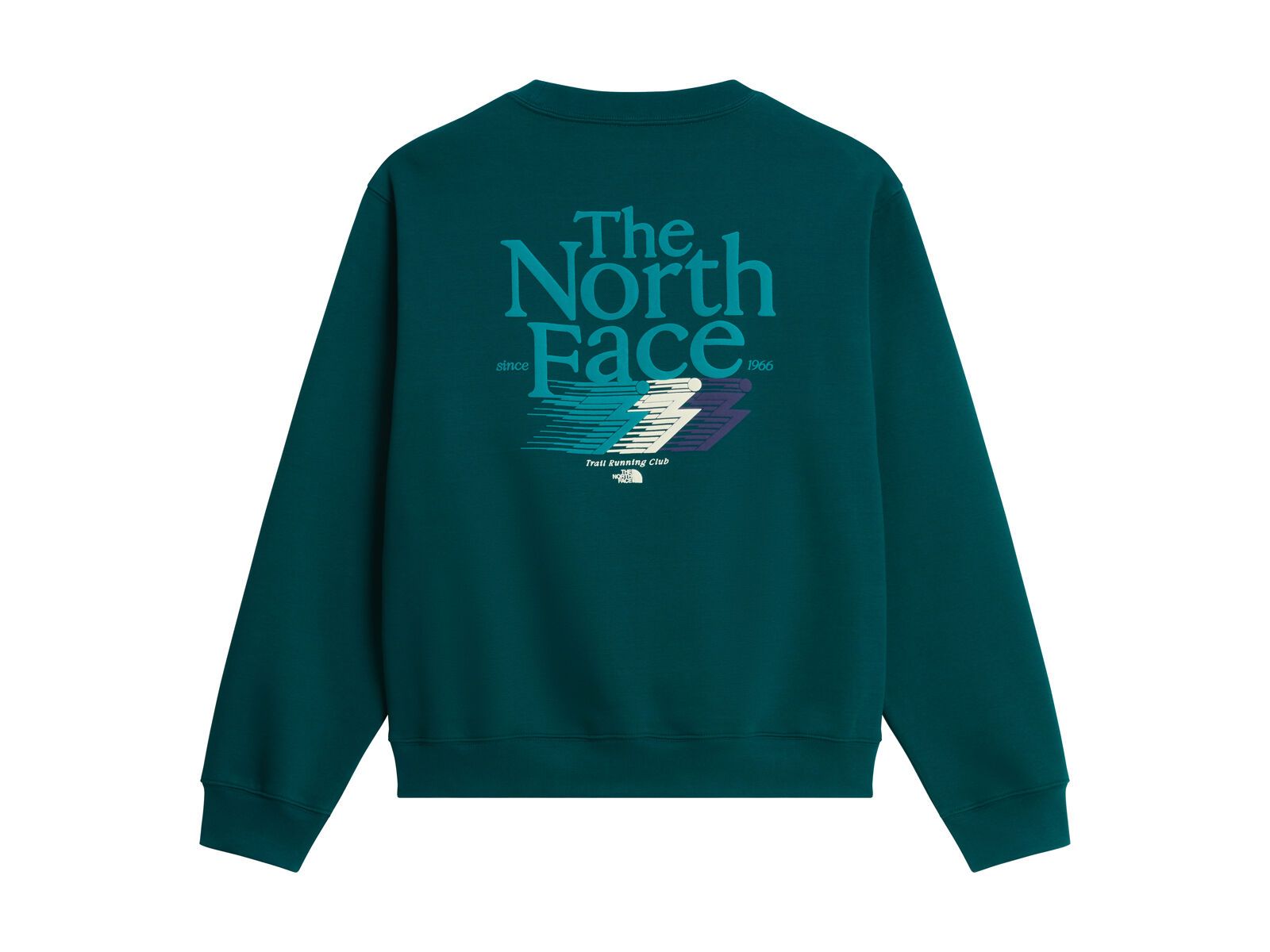 The North Face M Retro Trail Relaxed Crew Graphic, pacific teal - Bild 2