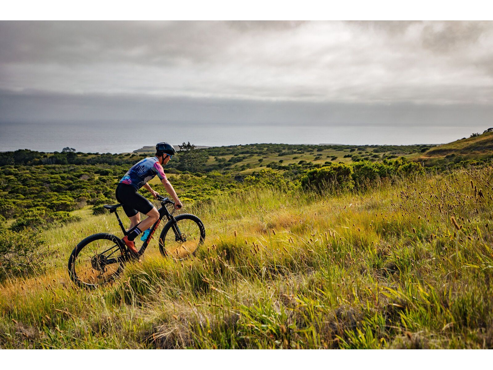 Santa Cruz Blur C / XT / RSV / 29, sockeye sal/blue - Bild 29