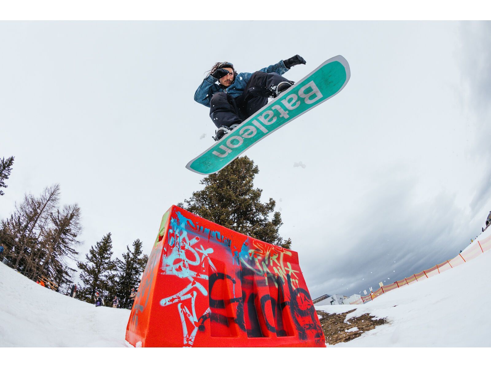 Bataleon Goliath - Bild 10