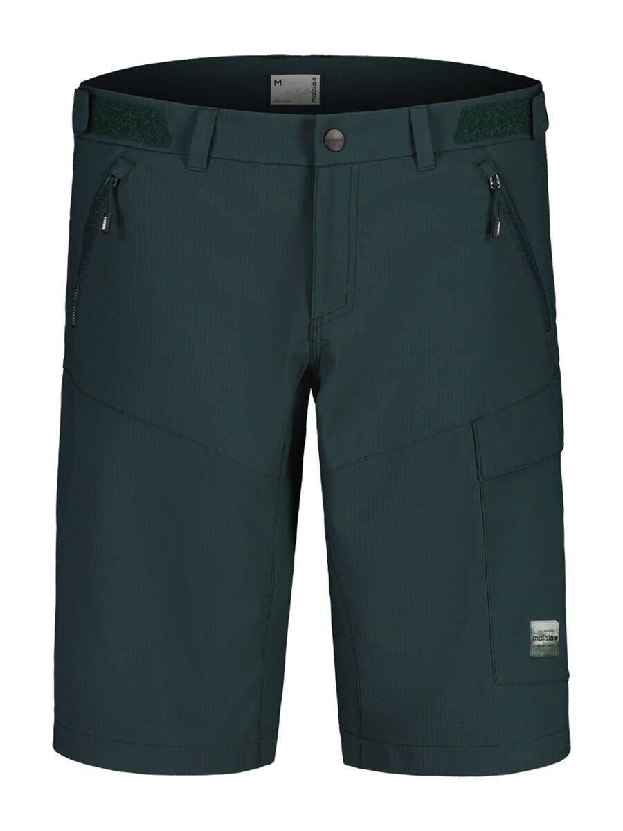 Maloja KehrwaldM., mountain pine - Bild 1