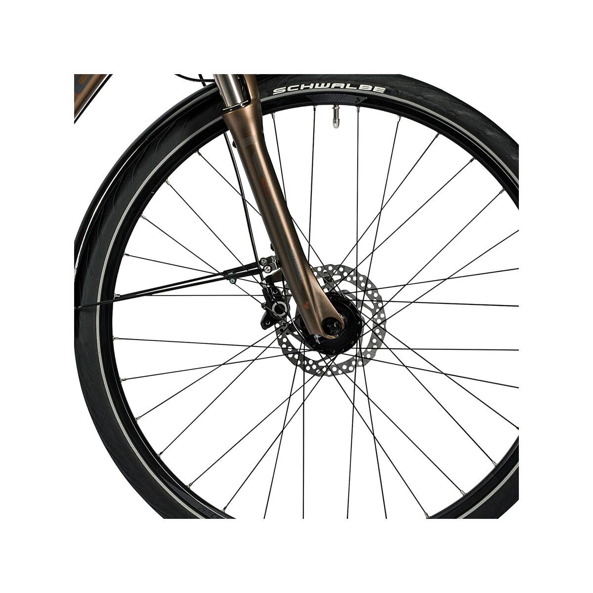 Cube Delhi Pro, havana brown - Bild 2