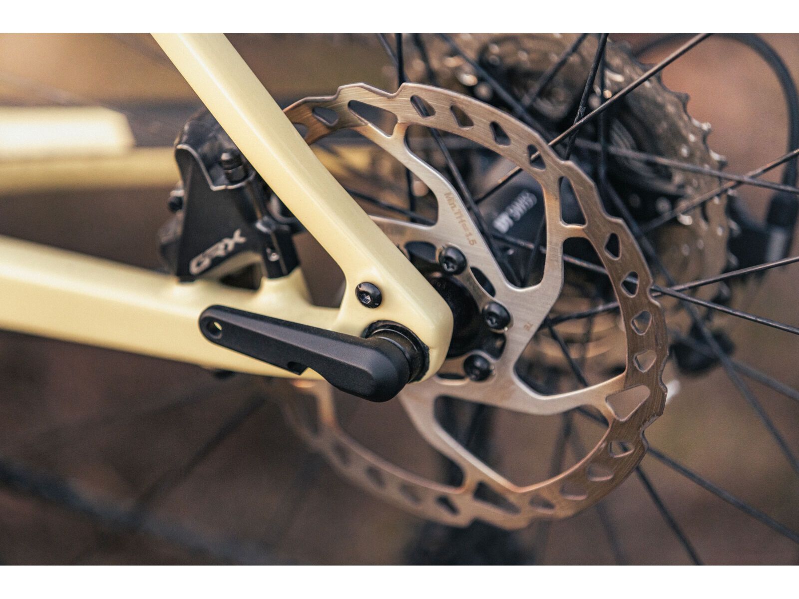 Focus Atlas 8.8, creme white - Bild 15