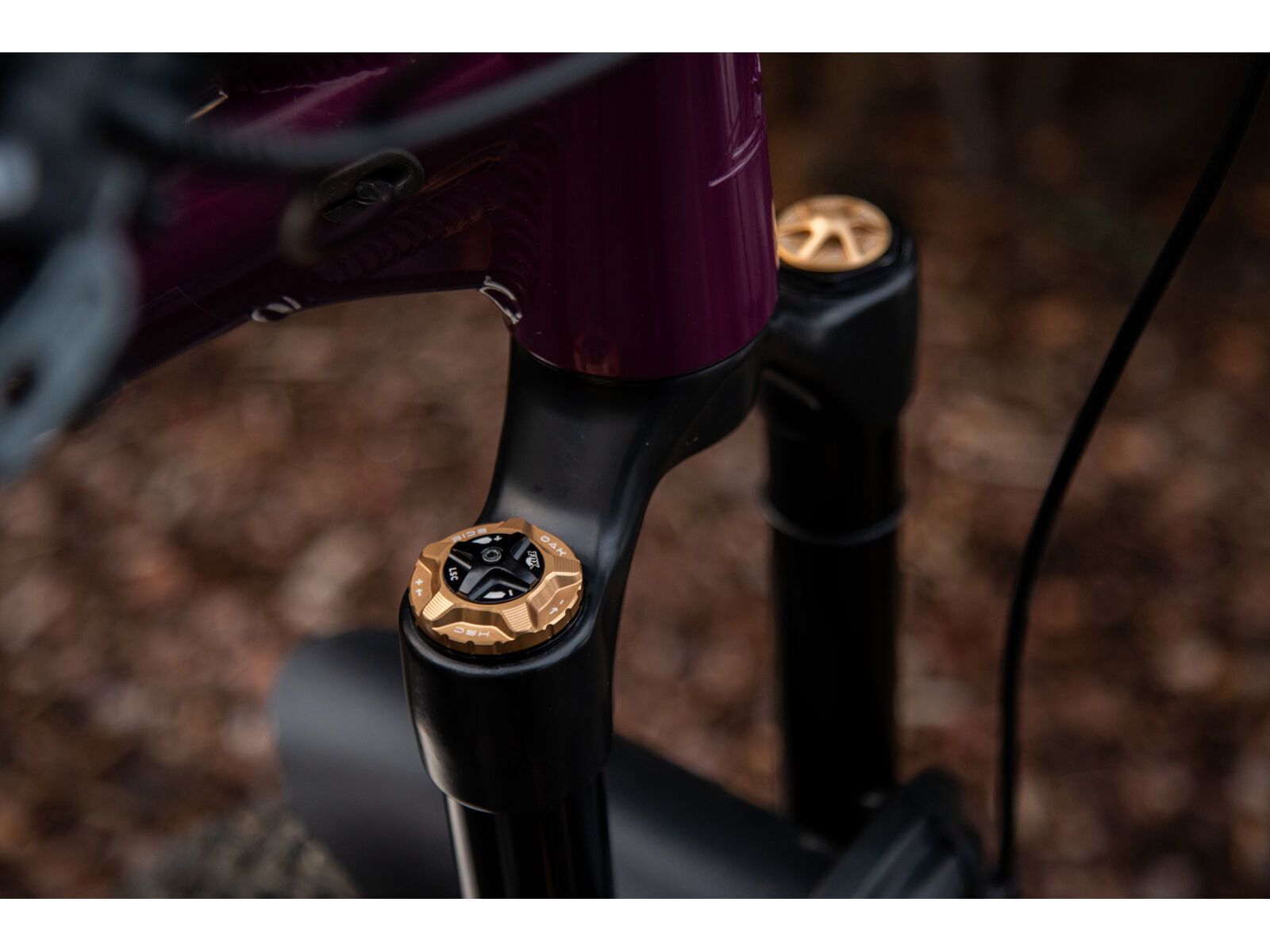 OAK Components Forkcap HSC für Fox 34, 36, 38, 40, copper - Bild 2