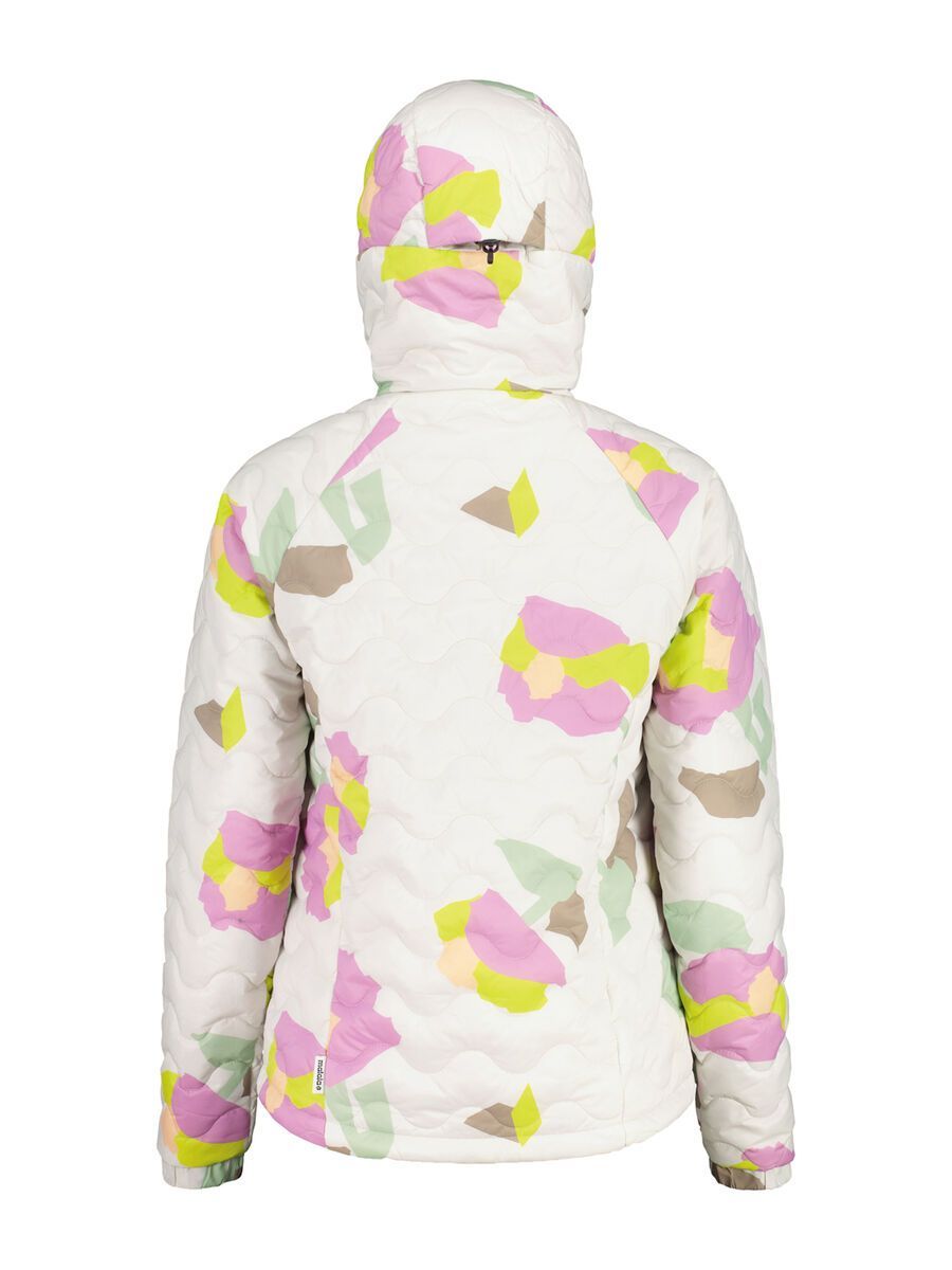 Maloja ChrysanthenumM., shaded white fieldflower - Bild 2