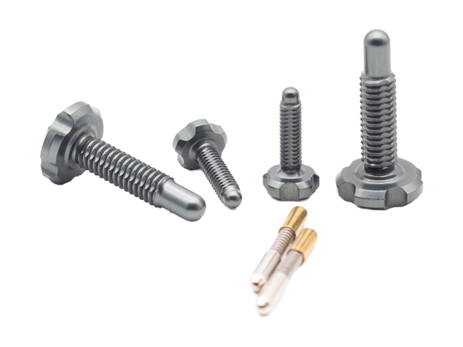 OAK Components RLP Schrauben Set (4 Stck.), lunargrey - Bild 1