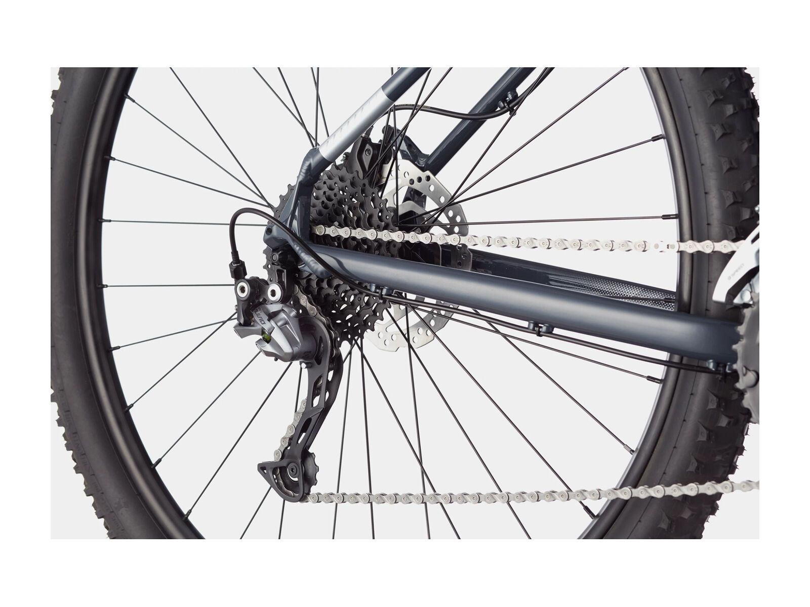 ***2. Wahl*** Cannondale Trail 6 - 29 slate gray 2022 - Bild 5