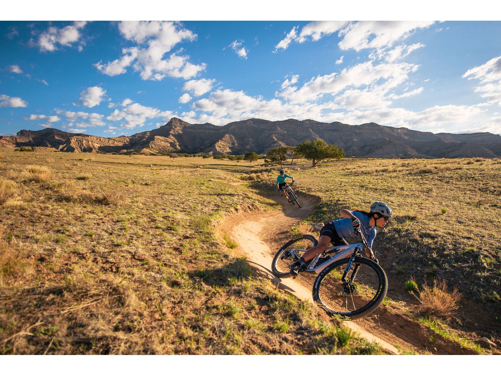 Juliana Wilder C / R / TR / 29, purple sweetness / lavender - Bild 26