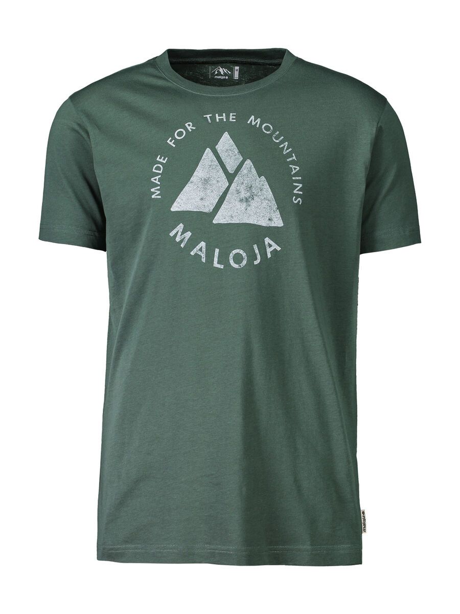 Maloja NeirM., forest glade - Bild 1