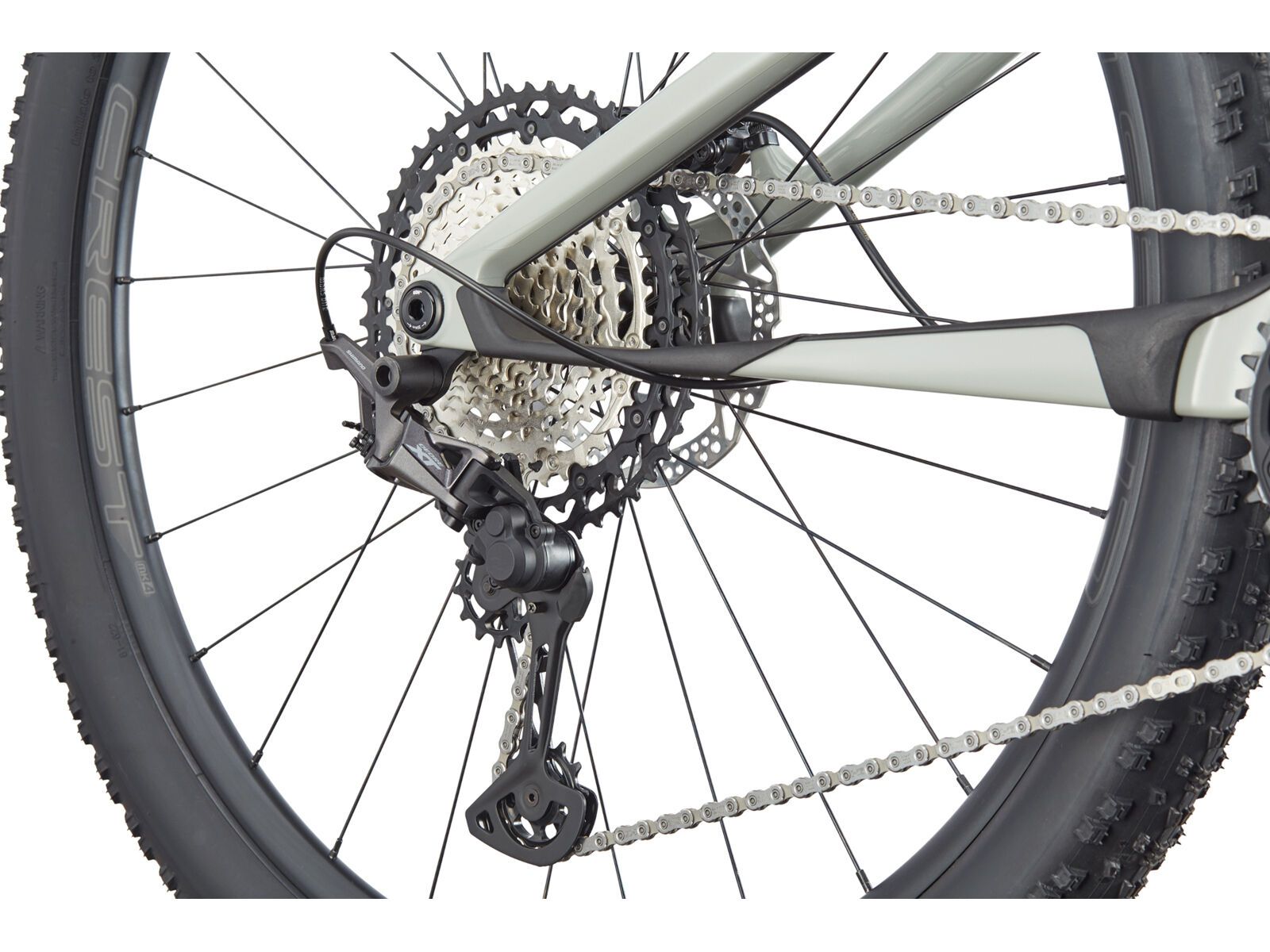 Cannondale Scalpel 3, tigershark - Bild 5