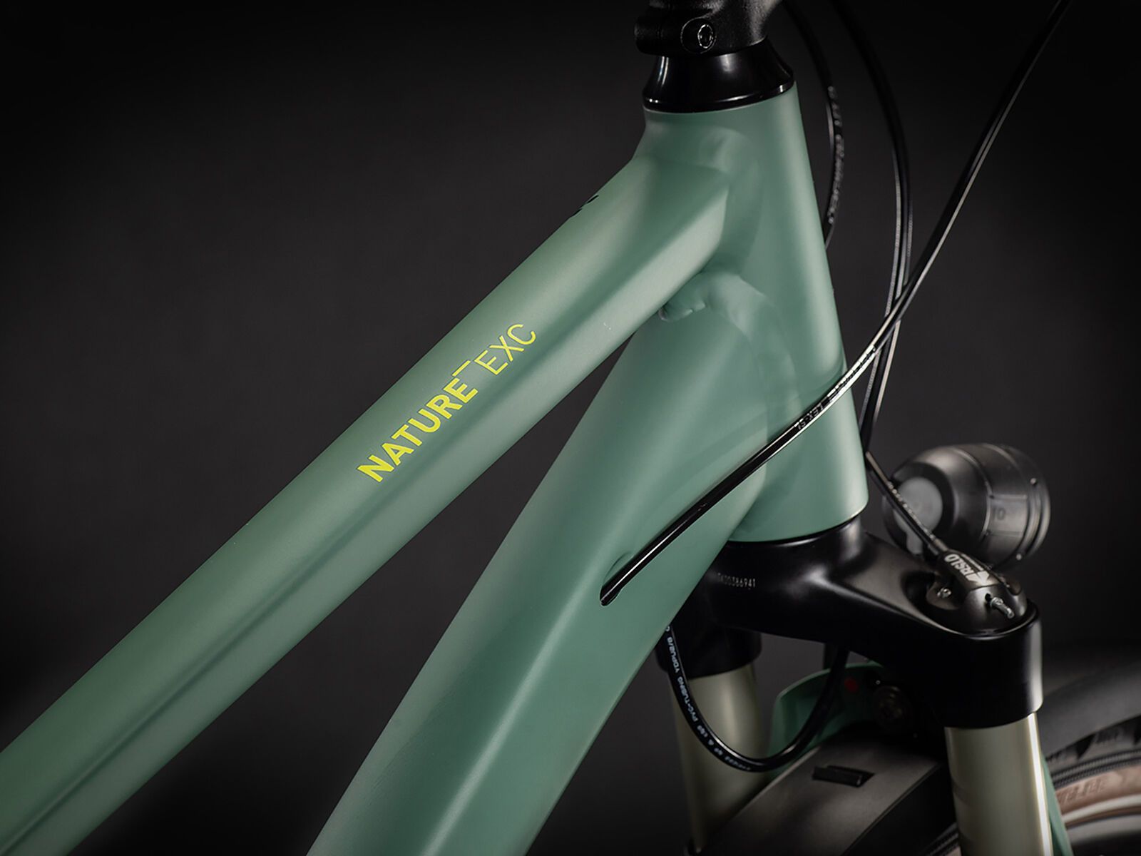 Cube Nature EXC Allroad Trapeze, green´n´bluegreen - Bild 2