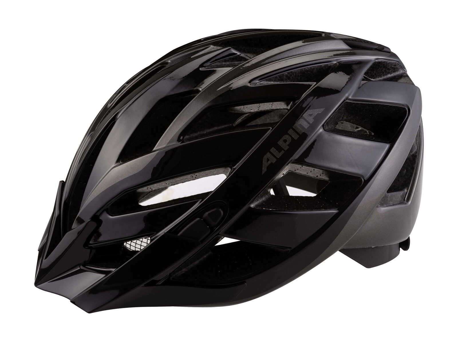 Alpina Panoma, black anthracite - Bild 1