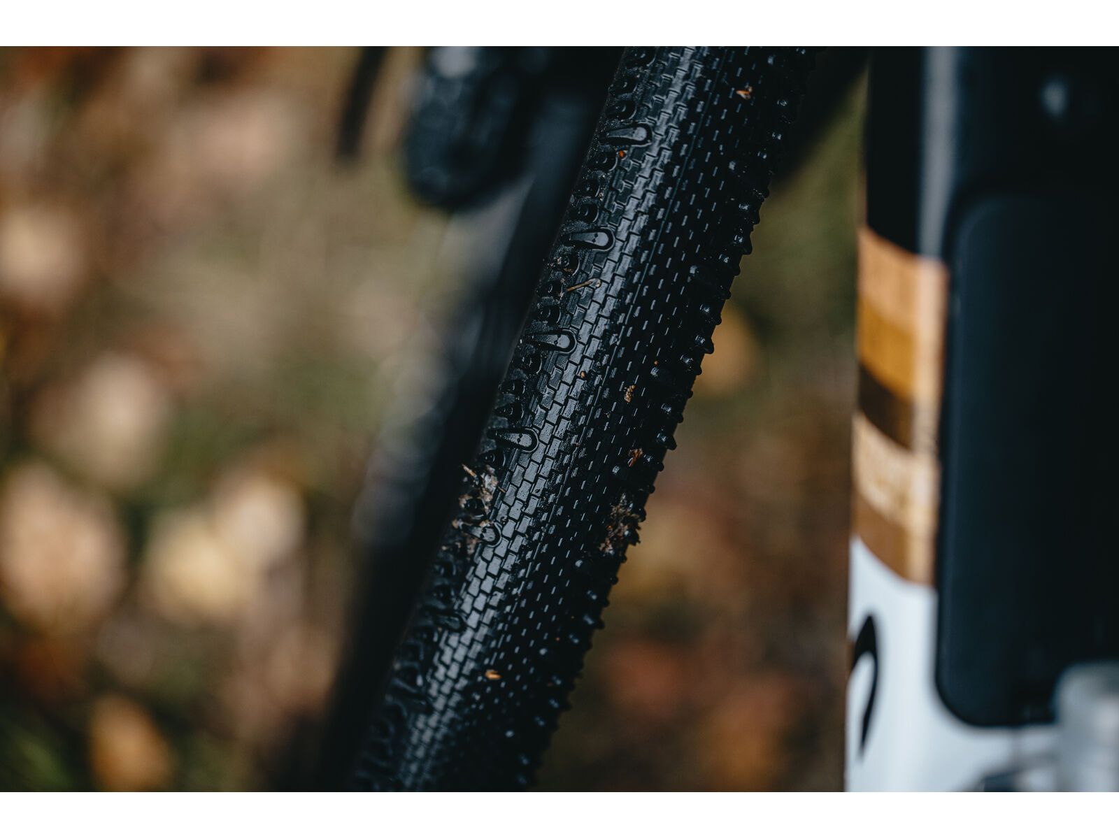 Schwalbe G-One RS Pro Addix Race / Race Pro V-Guard - 700C - Bild 18