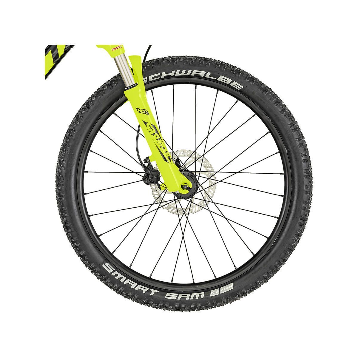 Scott Scale RC 24 - Bild 3