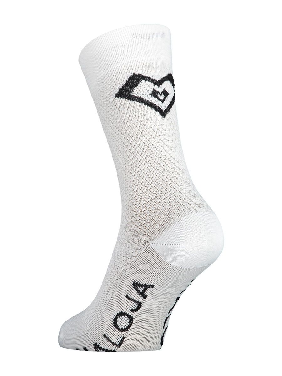 Maloja WaldsauerkleeM., snow - Bild 1