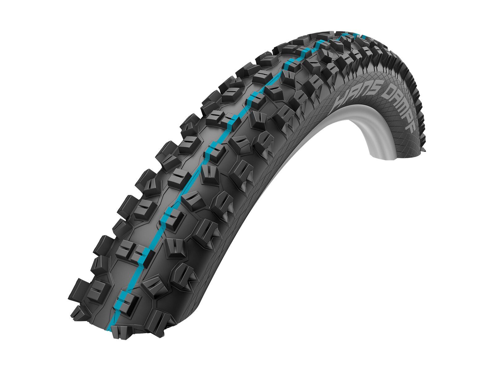 Schwalbe Hans Dampf Evo Addix Speedgrip SnakeSkin - 29 Zoll, schwarz - Bild 1