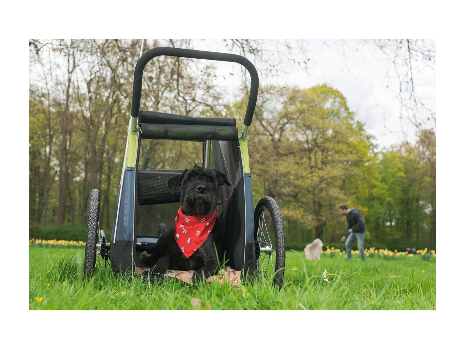 Croozer Dog Jokke, grasshopper green - Bild 9