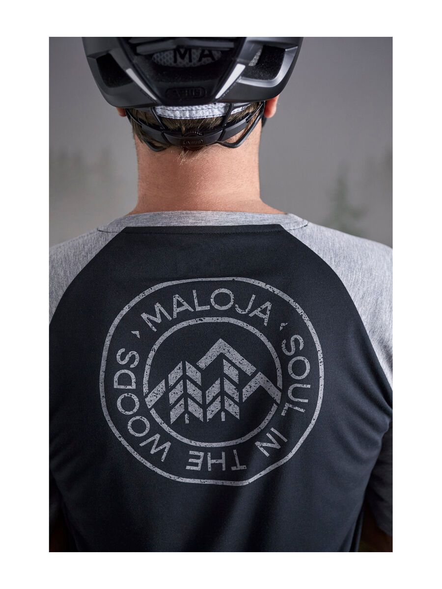 Maloja JupiterbartM., night sky - Bild 7