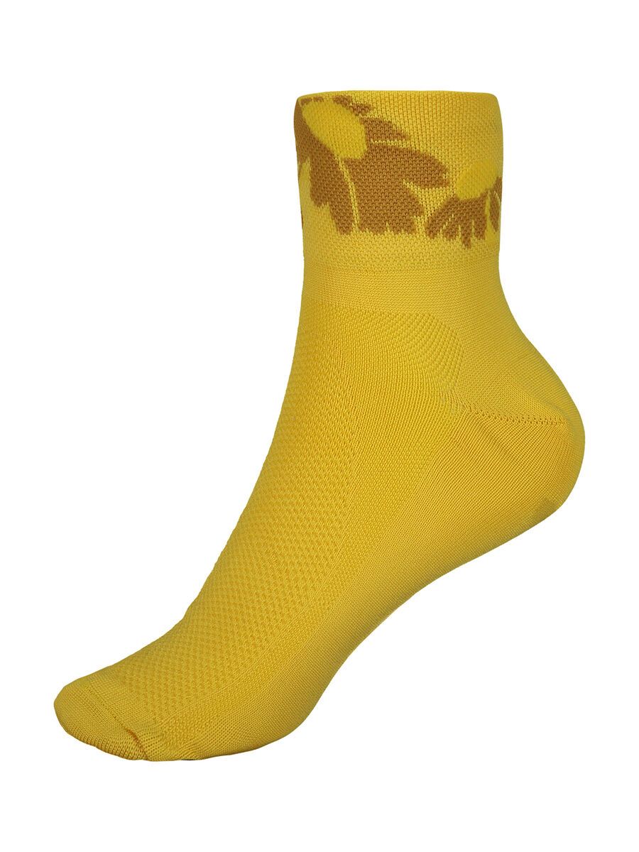 Maloja CunchettaM., sunlight - Bild 1