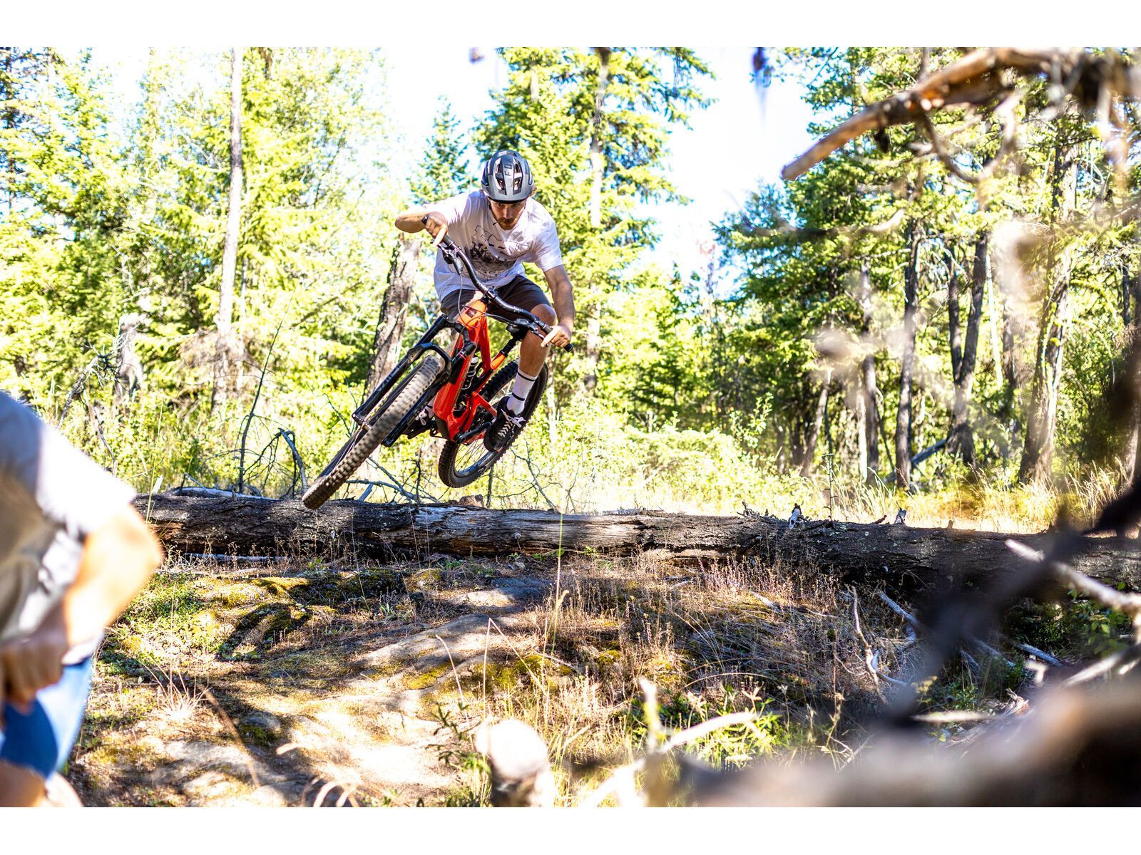 Santa Cruz 5010 C / GX AXS / RSV / MX, matte nickel - Bild 18