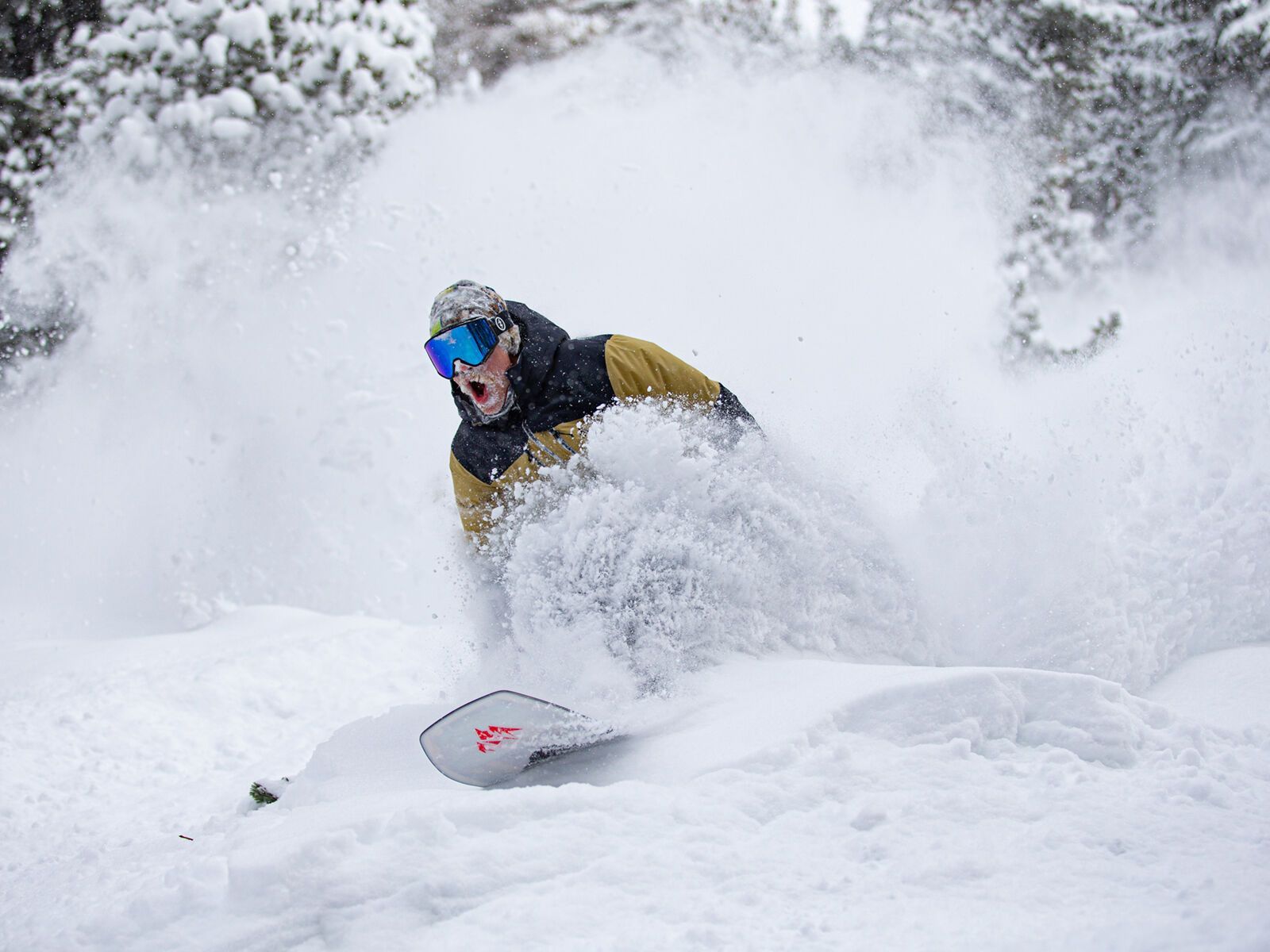 Jones Aviator 2.0 - Bild 7