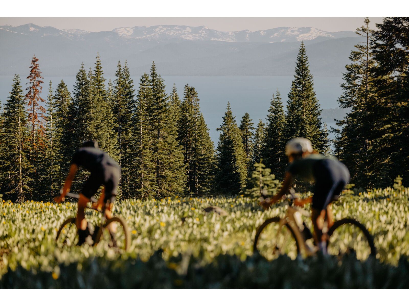 Specialized Turbo Creo 2 Expert Carbon, black pearl/birch/black pearl - Bild 19