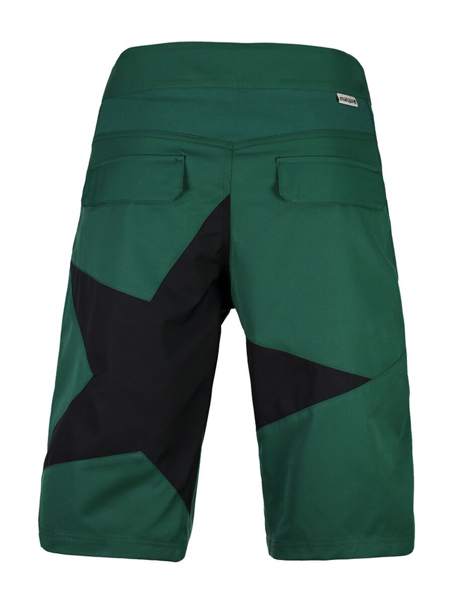 Maloja RetoM., stone pine - Bild 2