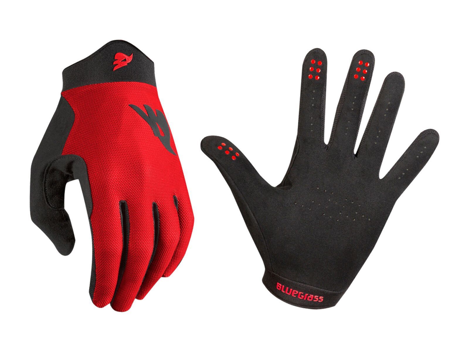 Bluegrass Union, red - Bild 1