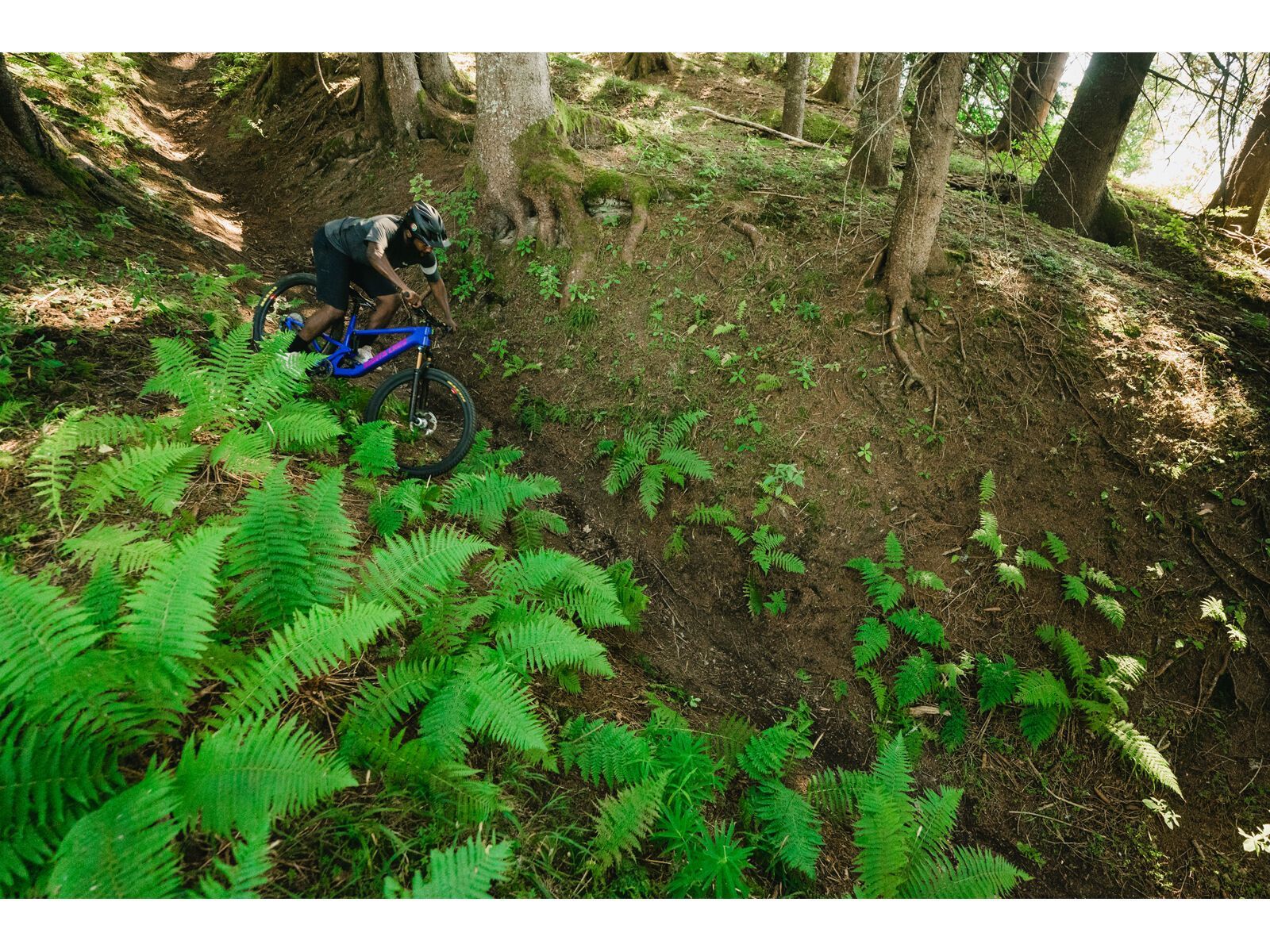 Santa Cruz Tallboy C / GX AXS / RSV / 29, gloss ultra blue - Bild 19