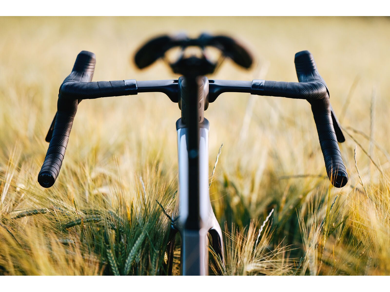 Cervelo Aspero-5 SRAM Force AXS 1, royal mercury - Bild 7