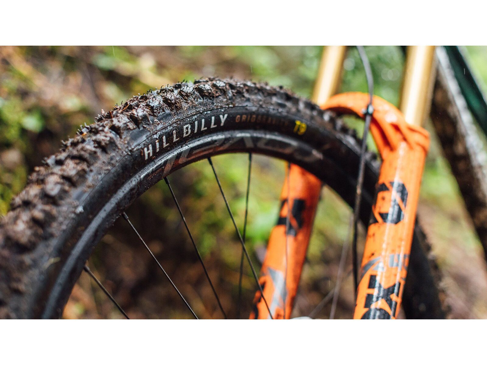 Specialized Hillbilly Grid Gravity 2Bliss Ready T9 - 29 Zoll - Bild 3