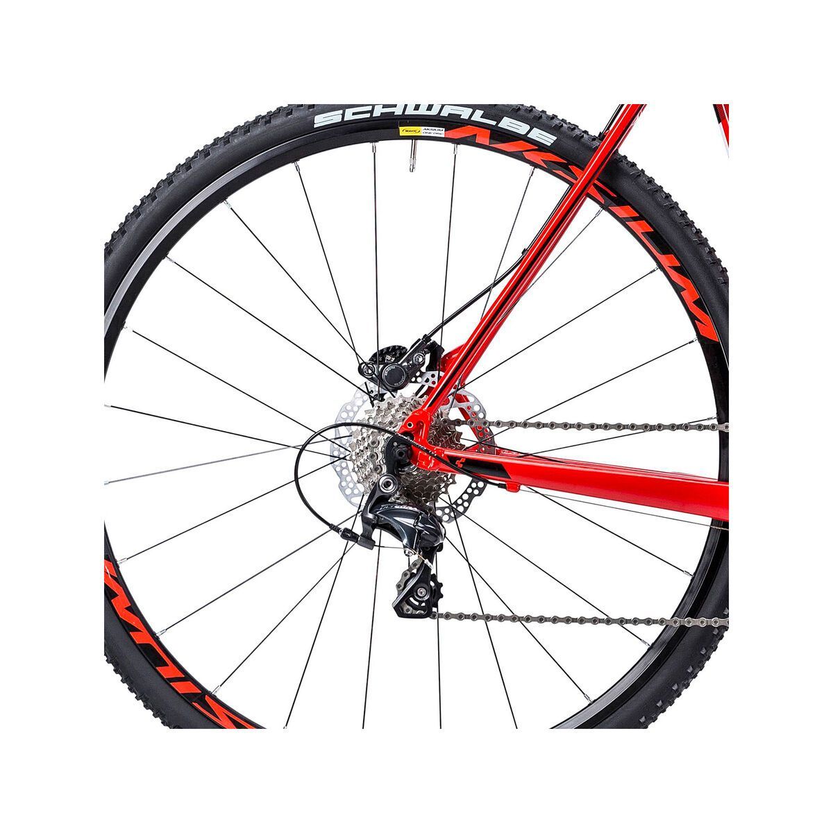 Cube Cross Race Disc Pro, red/black - Bild 4