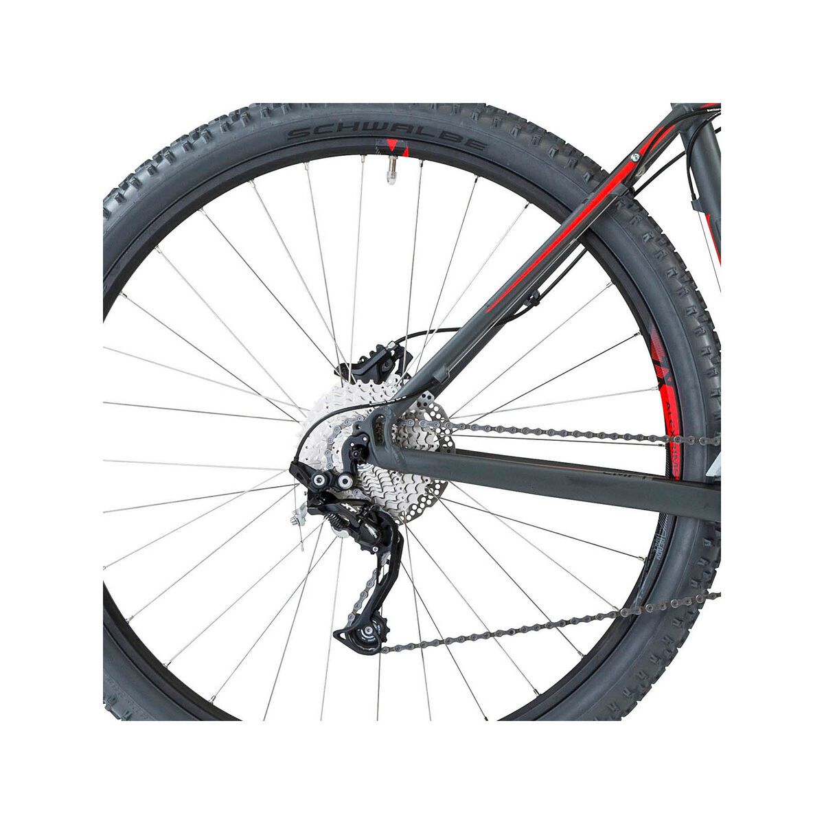 Cube Acid 29, grey flashred - Bild 4