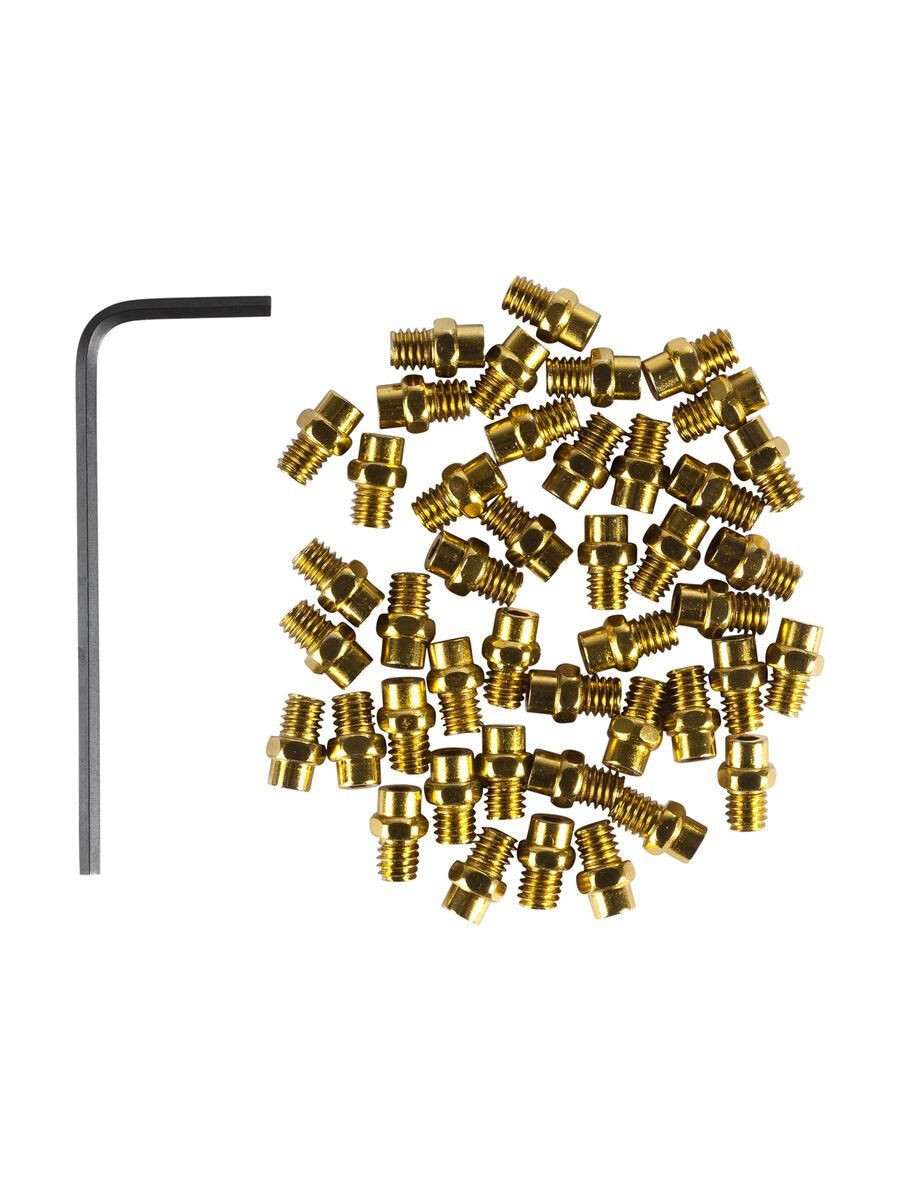 Cube RFR Pedal-Pins, gold - Bild 1