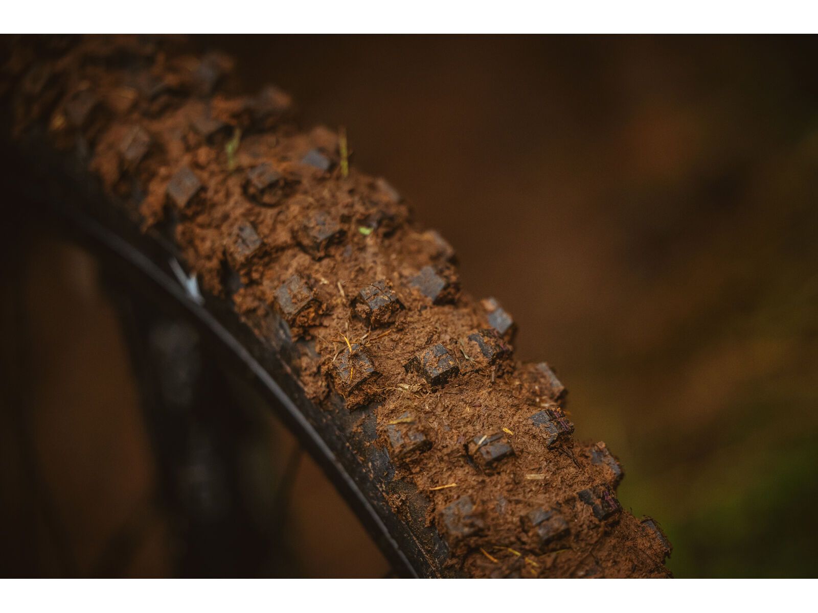 Schwalbe Shredda Rear Radial Addix Ultra Soft Gravity Pro - 27.5 Zoll - Bild 8