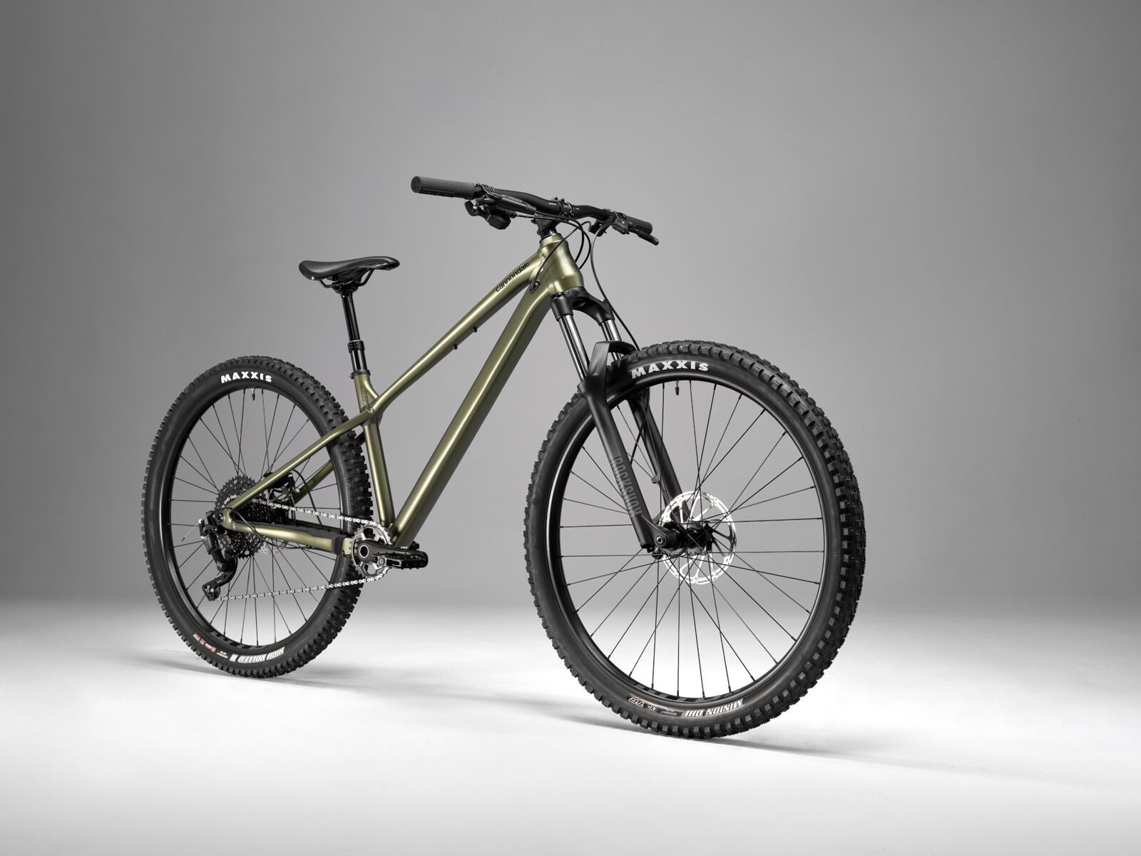 Cannondale Habit HT 2, mantis - Bild 16