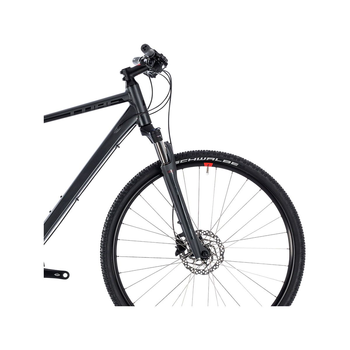 Cube Nature EXC, iridium´n´red - Bild 7