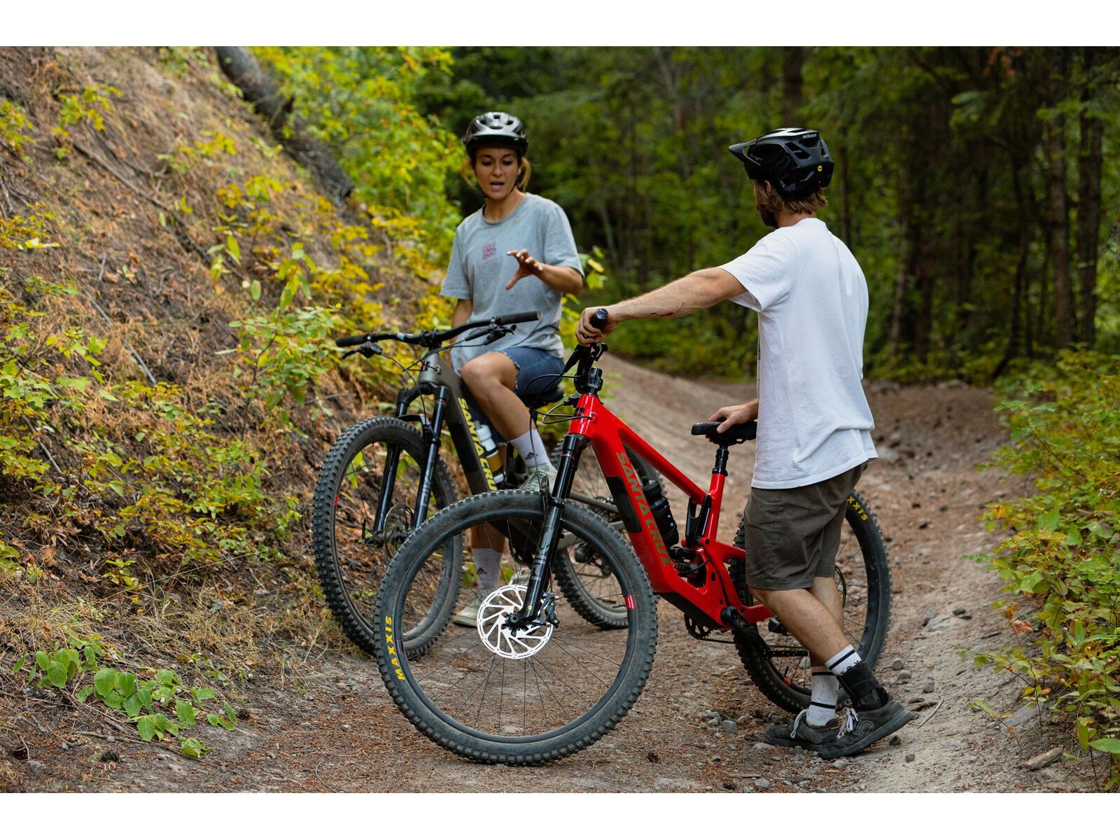 Santa Cruz 5010 C / GX AXS / RSV / MX, matte nickel - Bild 20