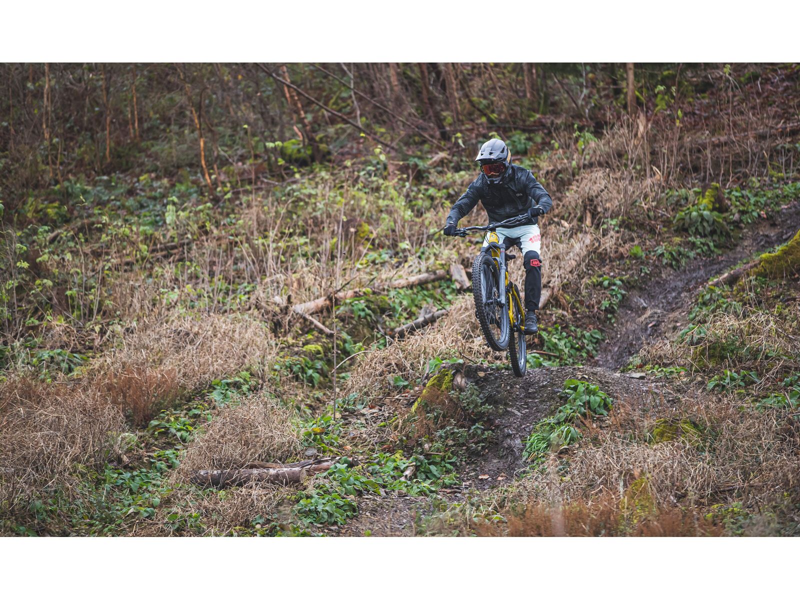 SCIU Aspen, moss yellow - Bild 16