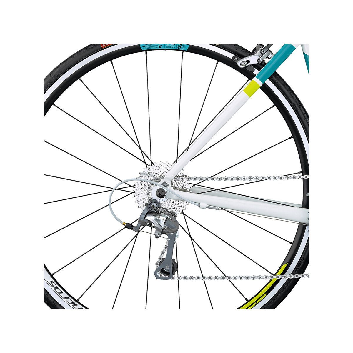 Scott Contessa Speedster 25 - Bild 4