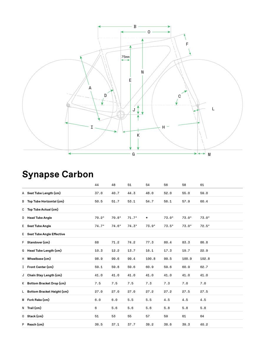 Cannondale Synapse Carbon 105, mantis - Bild 8