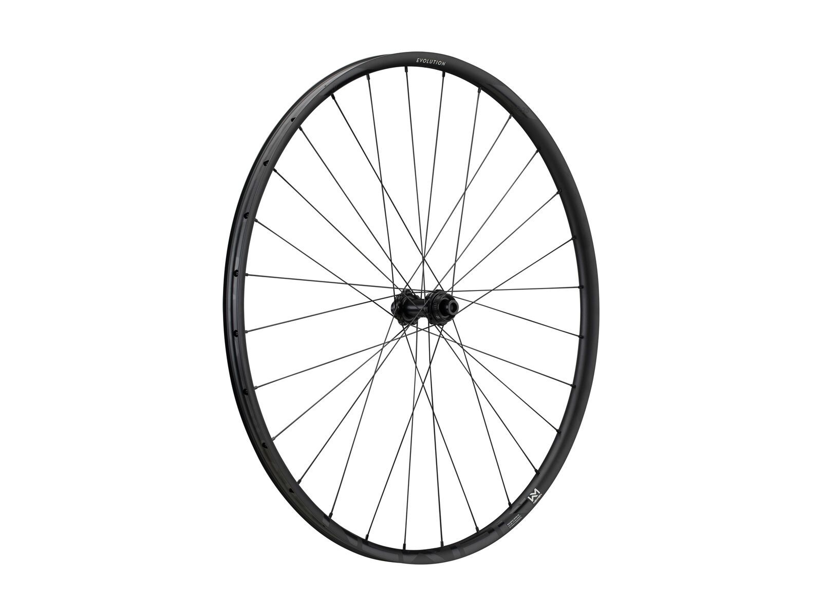 Newmen Evolution SL X.R.25 Centerlock - 700C / 12x100 mm, black - Bild 1