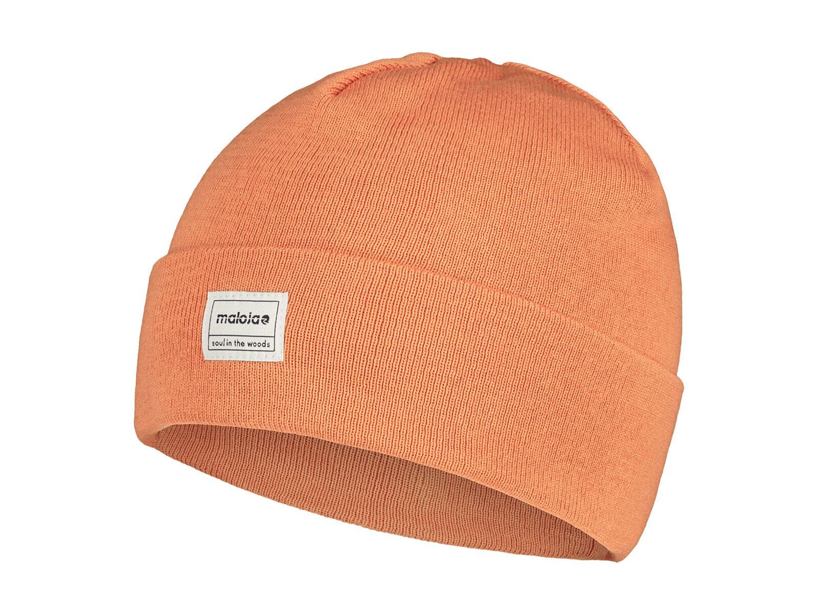 Maloja FullunsM., glowing alps - Bild 1