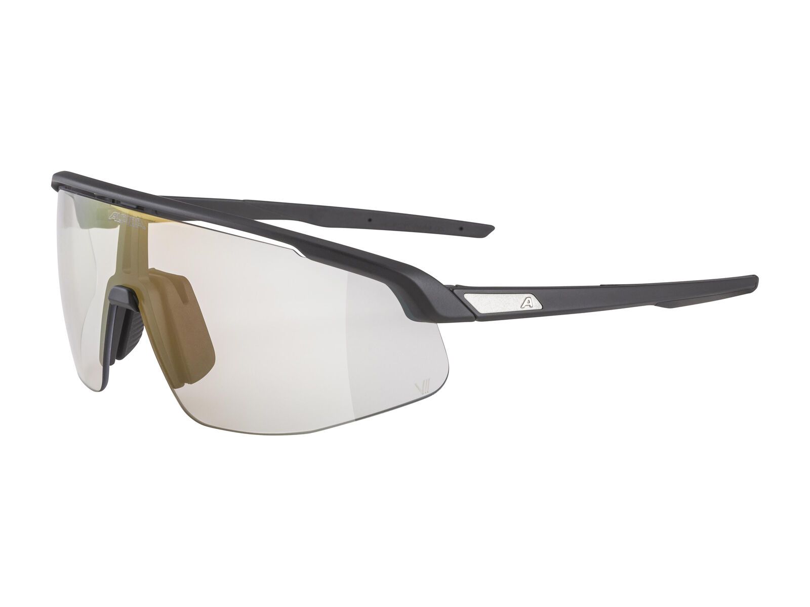 Alpina Turbo Pro V, Clear to Grey I Flash Red / black matt - Bild 1