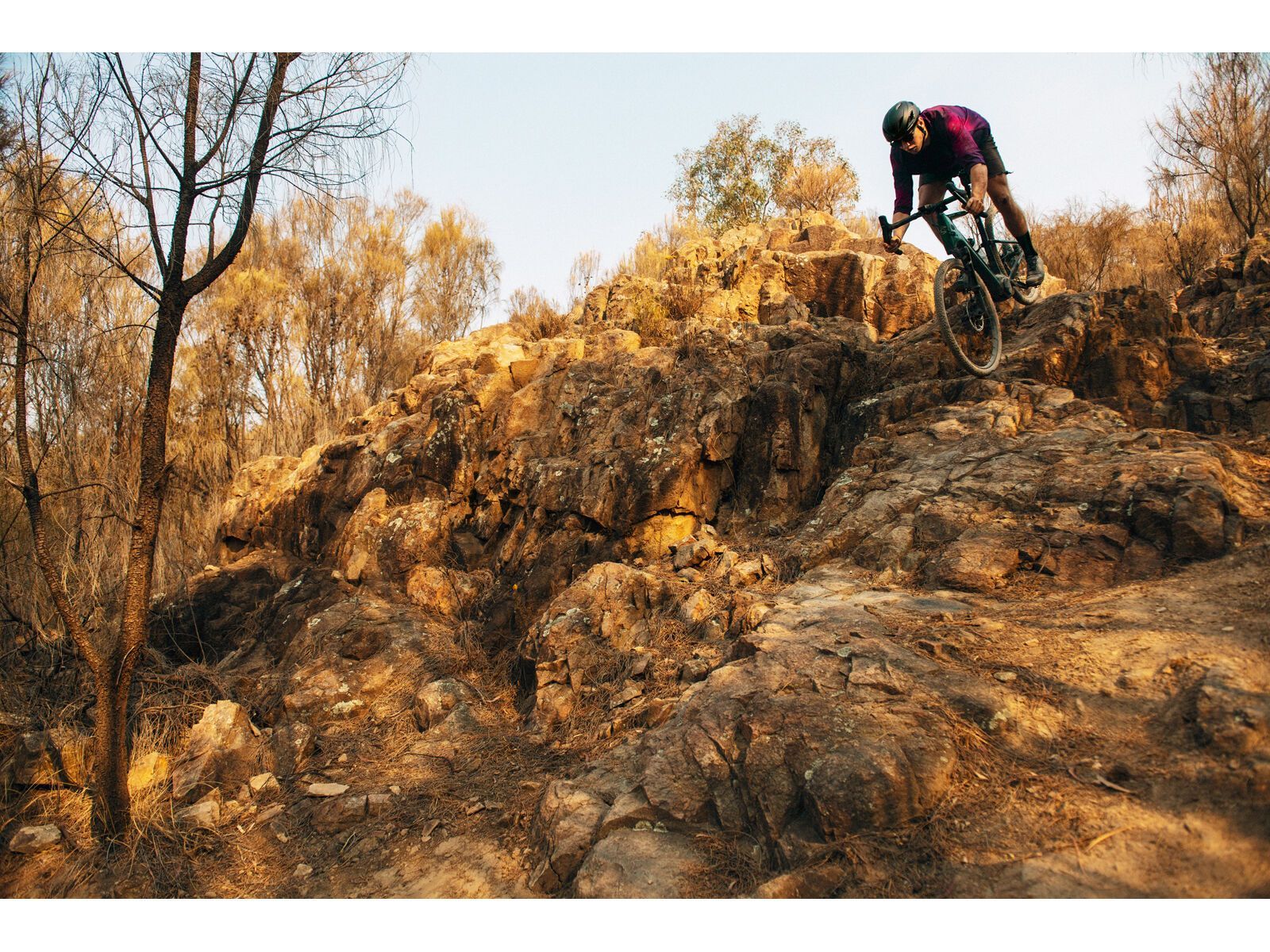 Cannondale Topstone Neo Carbon 3 Lefty, grey - Bild 16