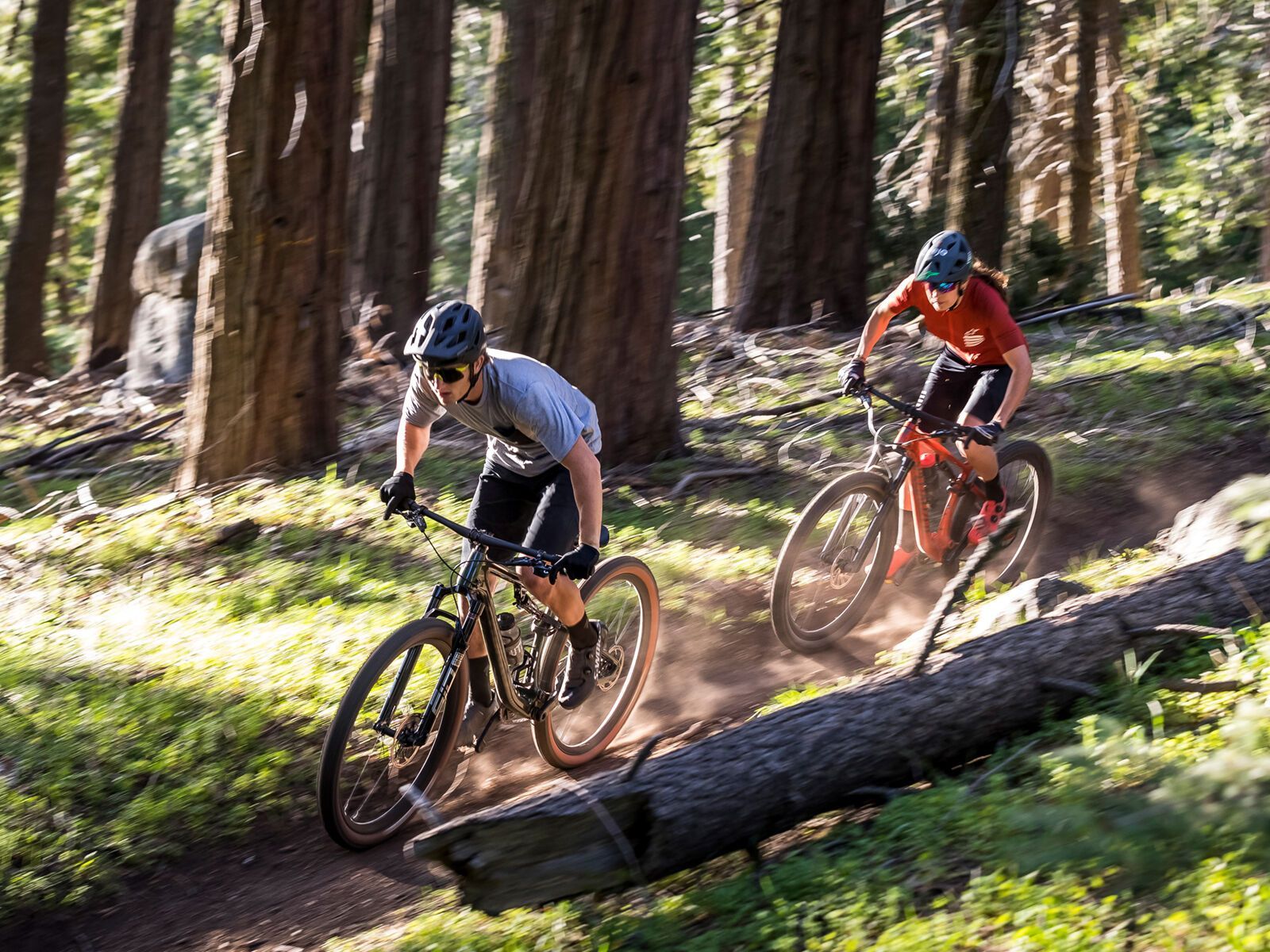 Specialized Epic Evo Expert, cast blue/ice blue - Bild 10