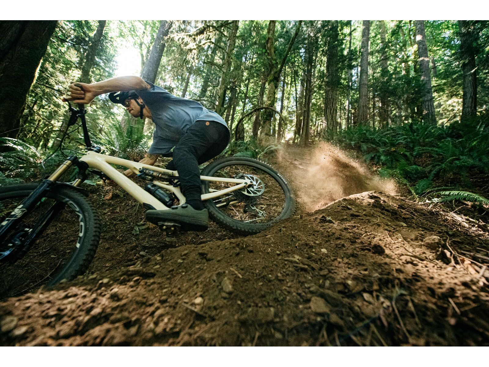 Specialized 2FO ClipLite Mountain Bike, oak green - Bild 7