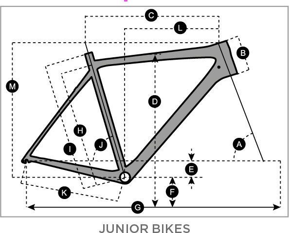Scott Contessa 24, dark blue/light blue - Bild 2