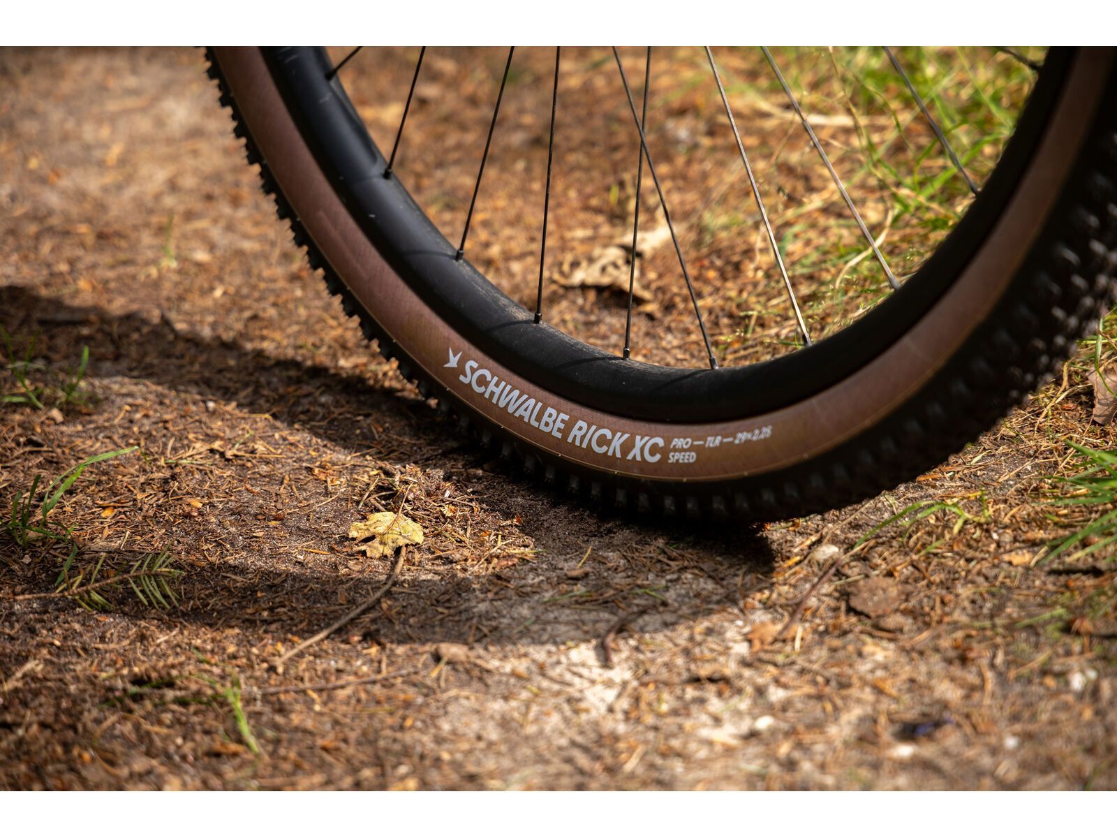 Schwalbe Rick XC Pro Evo Addix Speed TLR - 29 Zoll, transp. sidewall - Bild 16